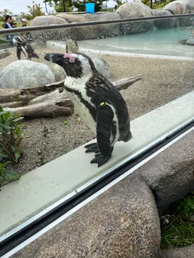 仙台うみの杜水族館に投稿された画像（2026/6/9）