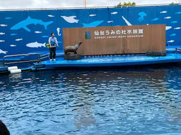 仙台うみの杜水族館に投稿された画像（2026/6/9）