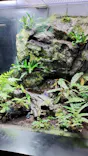 サンシャイン水族館に投稿された画像（2026/6/9）