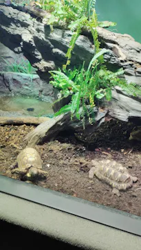 サンシャイン水族館に投稿された画像（2026/6/9）