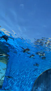 サンシャイン水族館に投稿された画像（2026/6/9）