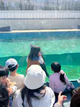 竹島水族館に投稿された画像（2026/6/10）