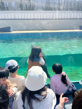 竹島水族館に投稿された画像（2026/6/9）