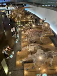 福井県立恐竜博物館に投稿された画像（2026/6/10）