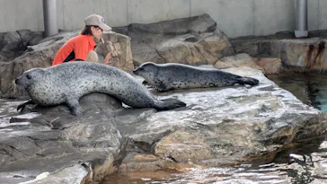 しながわ水族館に投稿された画像（2026/6/10）