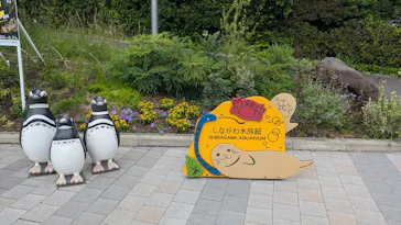 しながわ水族館に投稿された画像（2026/6/10）
