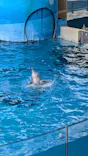 新江ノ島水族館に投稿された画像（2026/6/10）