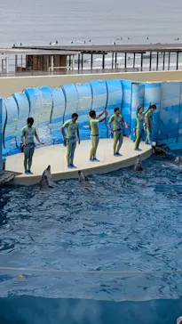 新江ノ島水族館に投稿された画像（2026/6/10）
