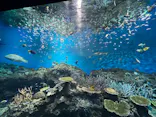 アクアワールド茨城県大洗水族館に投稿された画像（2026/6/10）