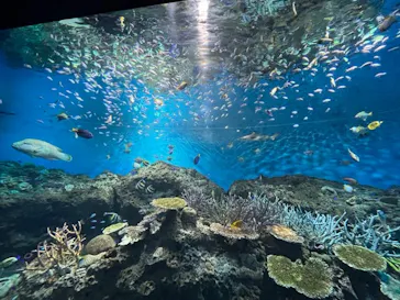 アクアワールド茨城県大洗水族館に投稿された画像（2026/6/10）