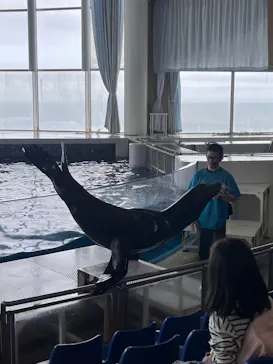 アクアワールド茨城県大洗水族館に投稿された画像（2026/6/10）
