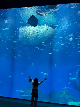 アクアワールド茨城県大洗水族館に投稿された画像（2026/6/10）