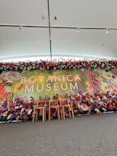 BOTANICA MUSEUMに投稿された画像（2026/6/10）