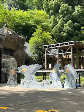 上野動物園 ハシビロカートに投稿された画像（2026/6/10）
