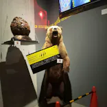 特別展「超危険生物展　科学で挑む生き物の本気」に投稿された画像（2026/6/10）