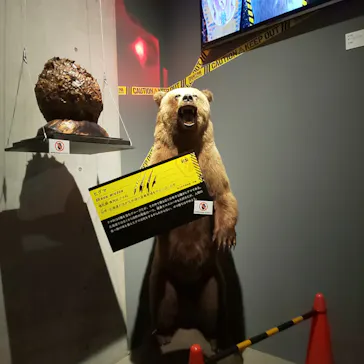 特別展「超危険生物展　科学で挑む生き物の本気」に投稿された画像（2026/6/10）