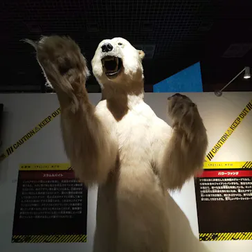 特別展「超危険生物展　科学で挑む生き物の本気」に投稿された画像（2026/6/10）