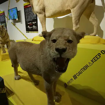 特別展「超危険生物展　科学で挑む生き物の本気」に投稿された画像（2026/6/10）