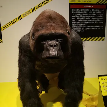 特別展「超危険生物展　科学で挑む生き物の本気」に投稿された画像（2026/6/10）