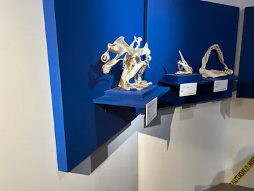 特別展「超危険生物展　科学で挑む生き物の本気」に投稿された画像（2026/6/10）