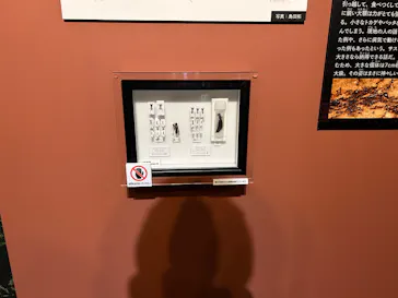 特別展「超危険生物展　科学で挑む生き物の本気」に投稿された画像（2026/6/10）