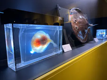 特別展「超危険生物展　科学で挑む生き物の本気」に投稿された画像（2026/6/10）