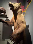特別展「超危険生物展　科学で挑む生き物の本気」に投稿された画像（2026/6/10）