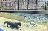 天王寺動物園に投稿された画像（2026/6/10）