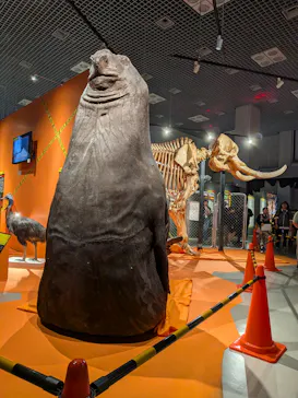 特別展「超危険生物展　科学で挑む生き物の本気」に投稿された画像（2026/6/10）