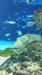 サンシャイン水族館に投稿された画像（2026/6/10）
