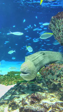 サンシャイン水族館に投稿された画像（2026/6/10）