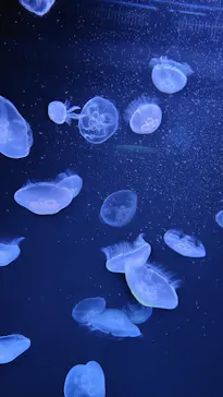 サンシャイン水族館に投稿された画像（2026/6/10）