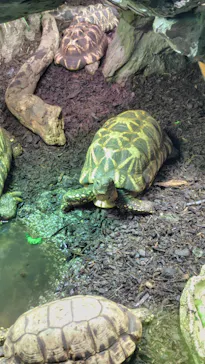 サンシャイン水族館に投稿された画像（2026/6/10）