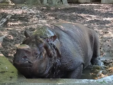 名古屋市東山動植物園に投稿された画像（2026/6/10）