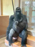 名古屋市東山動植物園に投稿された画像（2026/6/11）