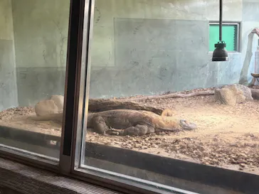 名古屋市東山動植物園に投稿された画像（2026/6/10）