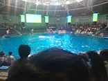 マクセル アクアパーク品川に投稿された画像（2026/6/11）
