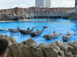 名古屋港水族館に投稿された画像（2026/6/11）