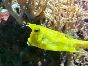 名古屋港水族館に投稿された画像（2026/6/11）