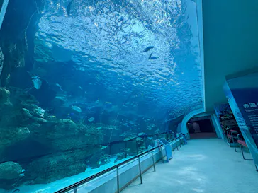 名古屋港水族館に投稿された画像（2026/6/11）