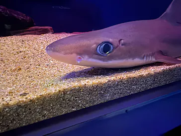 名古屋港水族館に投稿された画像（2026/6/11）