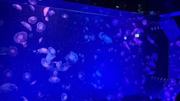 名古屋港水族館に投稿された画像（2026/6/11）