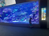 大分マリーンパレス水族館 「うみたまご」に投稿された画像（2026/6/11）
