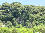 足立美術館に投稿された画像（2026/6/11）