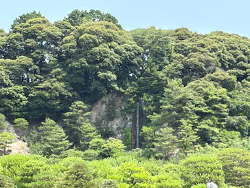 足立美術館に投稿された画像（2026/6/11）