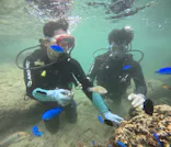 武藤潜水に投稿された画像（2026/6/11）