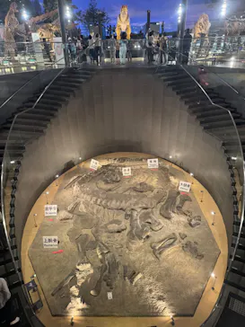 福井県立恐竜博物館に投稿された画像（2026/6/11）