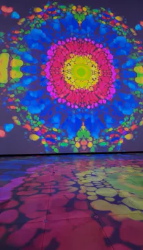 NAKED meets ガウディ展【大阪】に投稿された画像（2026/6/11）