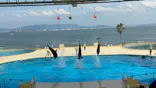 マリンワールド海の中道に投稿された画像（2026/6/11）