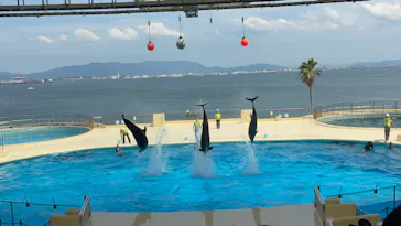 マリンワールド海の中道に投稿された画像（2026/6/11）